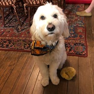 Meet your Posher, Gwen